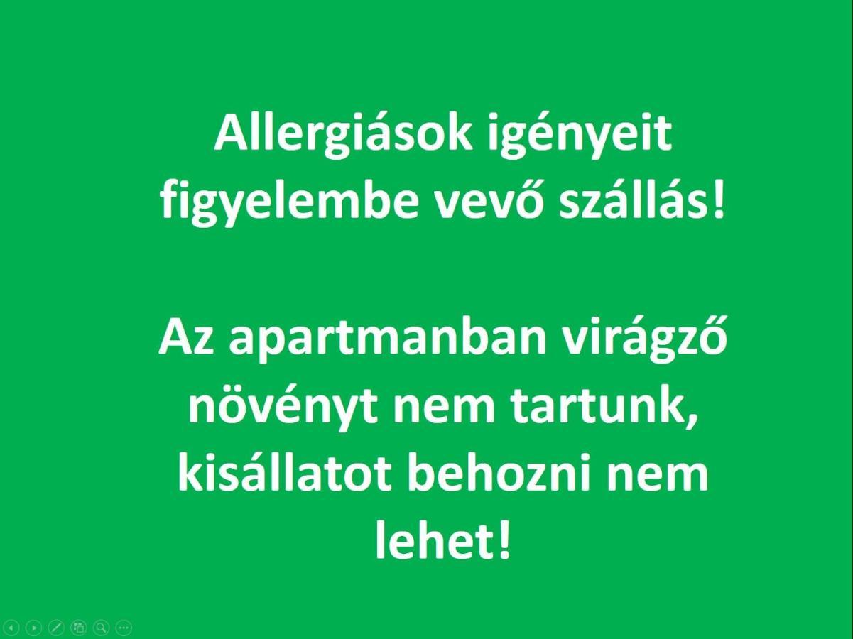 Smart Business Apartman Miszkolc Zewnętrze zdjęcie